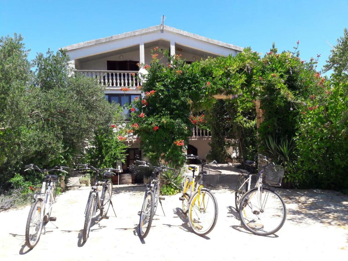 Apartments Marinka Biograd Na Moru Bagian luar foto