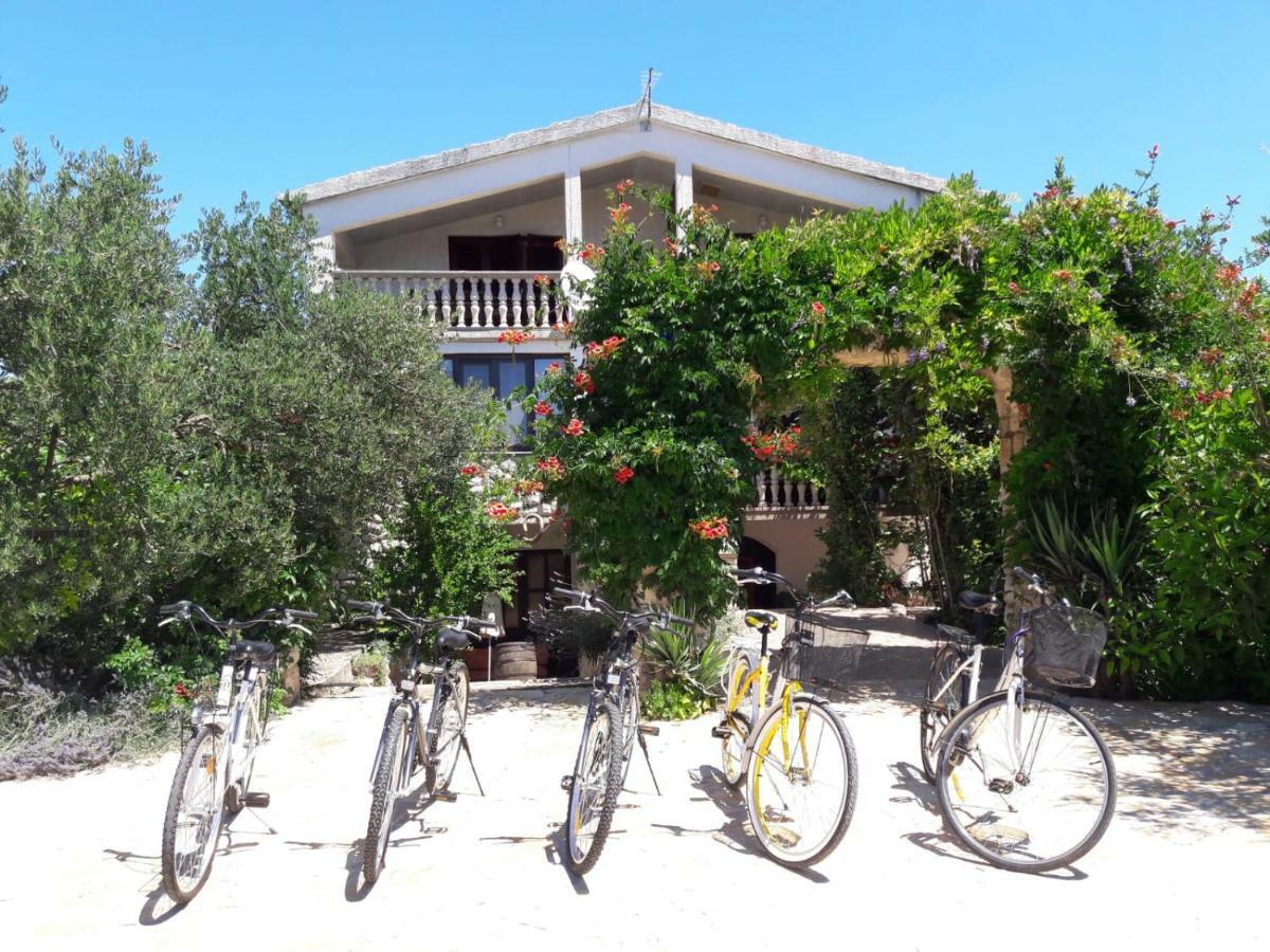 Apartments Marinka Biograd Na Moru Bagian luar foto